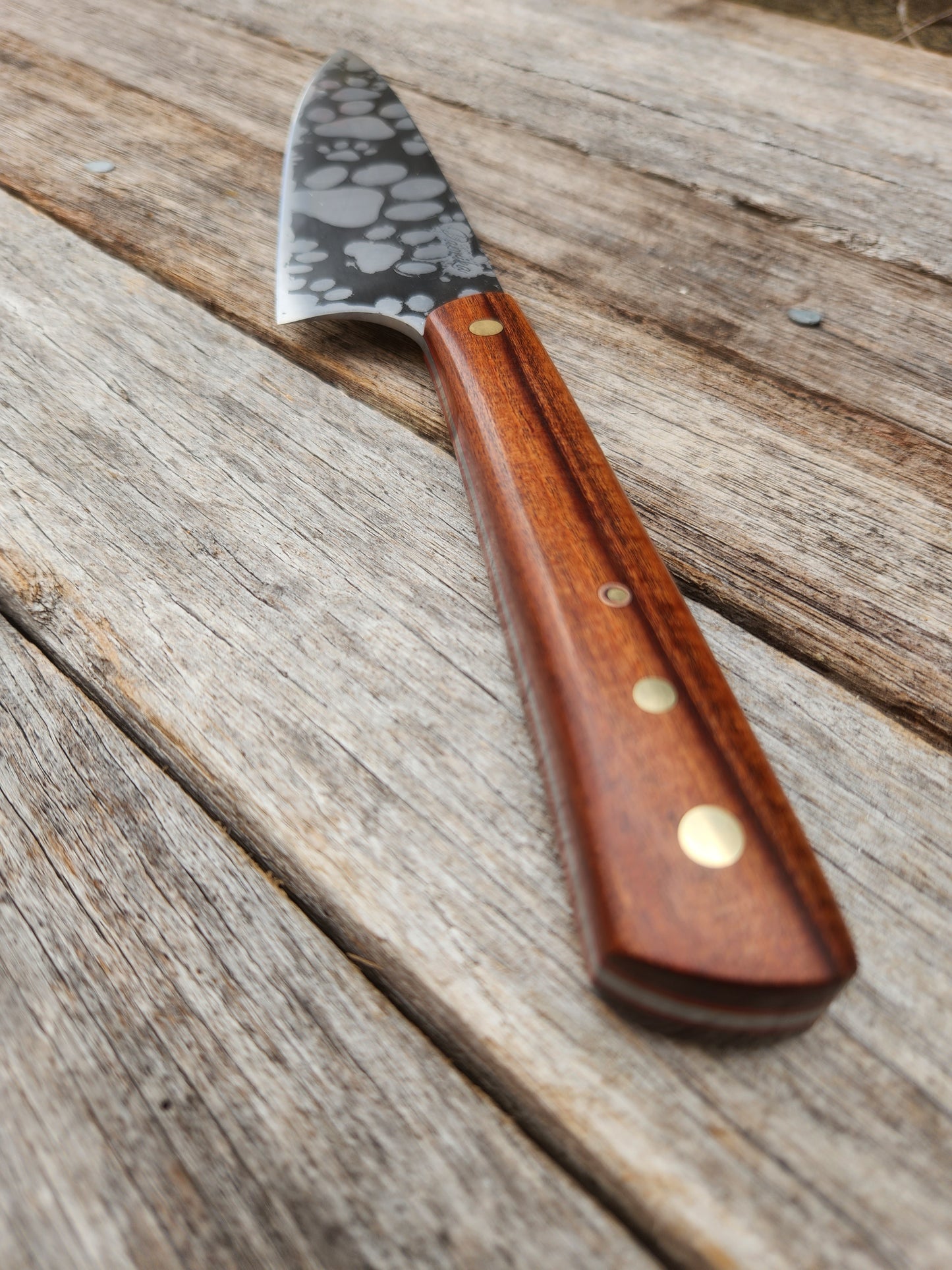 Paw Print Gyuto